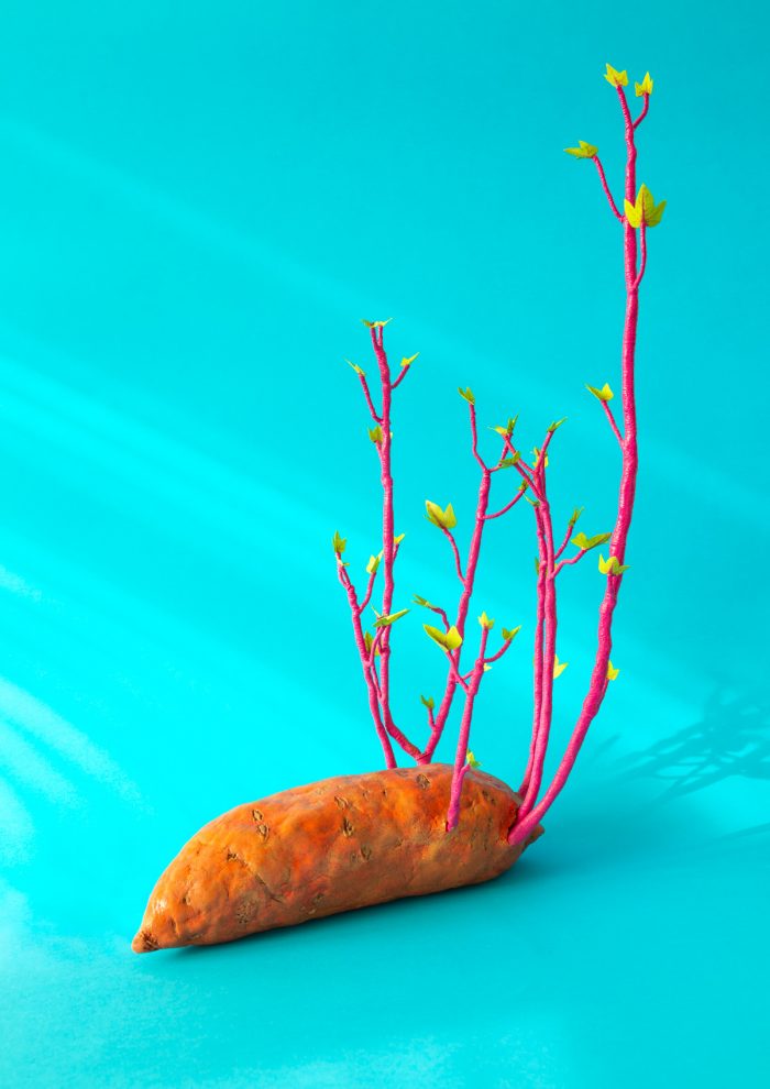 A clay model of a sprouting sweet potato on a bright blue background.
