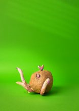 A clay model of a sprouting potato on a bright green background.