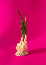 A clay and paper model of a sprouting garlic bulb on a bright pink background.